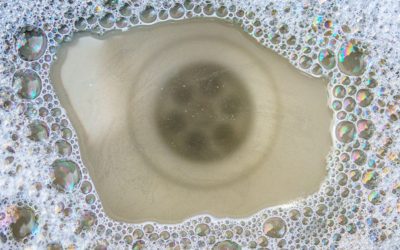 News - Valley Restoration Sewage Backups in Ketchum, ID: When to Call the Pros for Sewage Cleanup