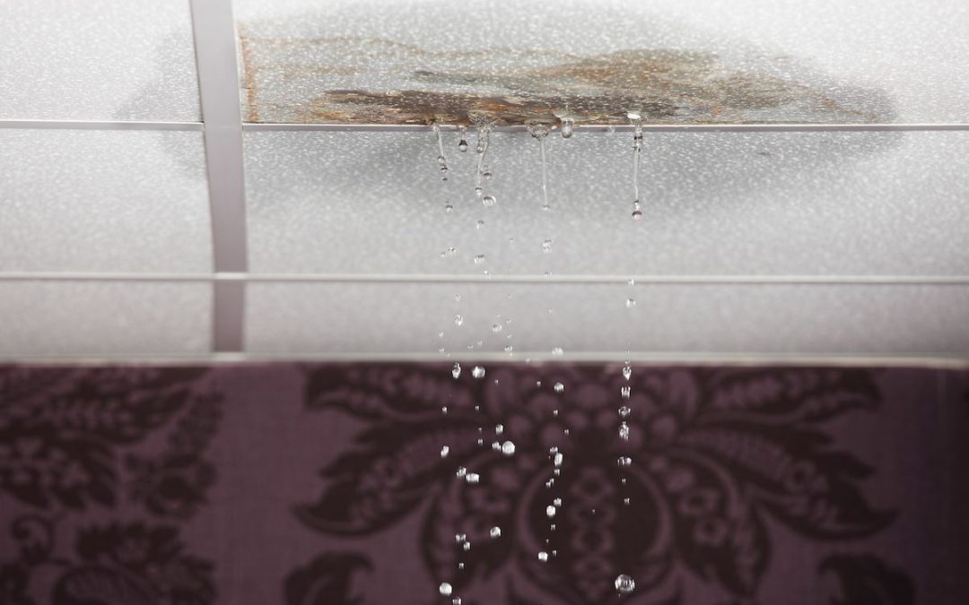 Preventing Mold After Water Damage: Essential Tips for Ketchum, Idaho Homeowners