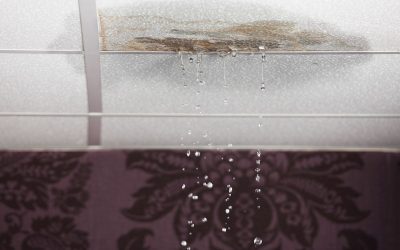 News - Valley Restoration Preventing Mold After Water Damage: Essential Tips for Ketchum, Idaho Homeowners