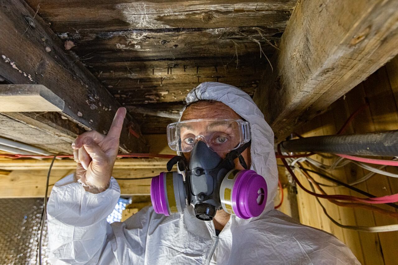 why-homeowners-trust-valley-restoration Mold testing and inspection
