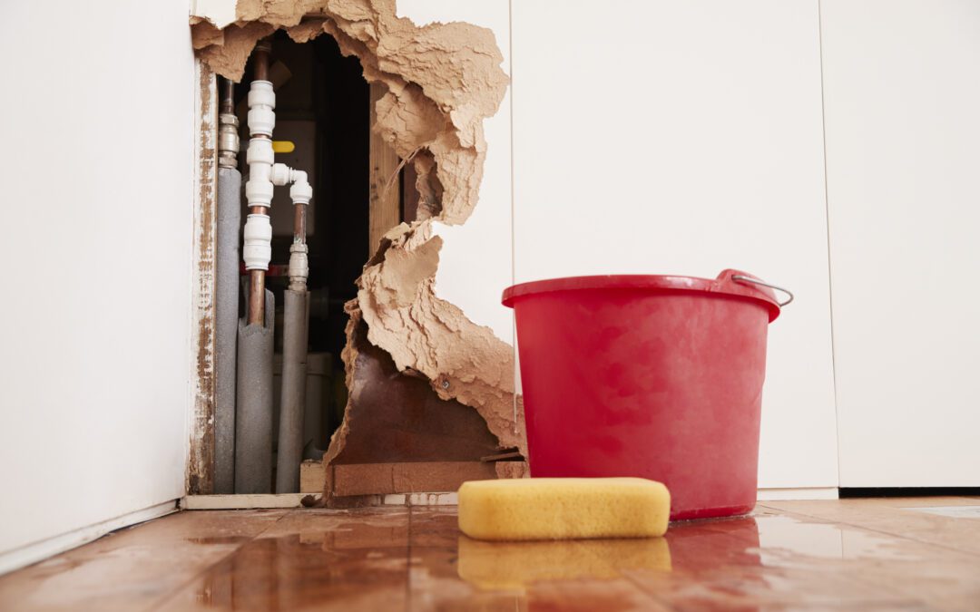 How to Dry Out Your House After a Pipe Bursts