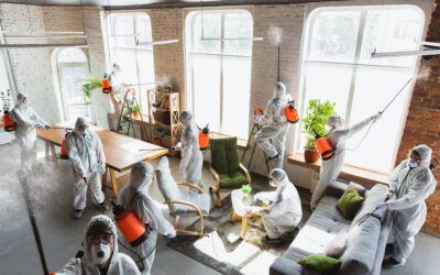 What to Expect When You Hire a Restoration Company in the Wood River Valley