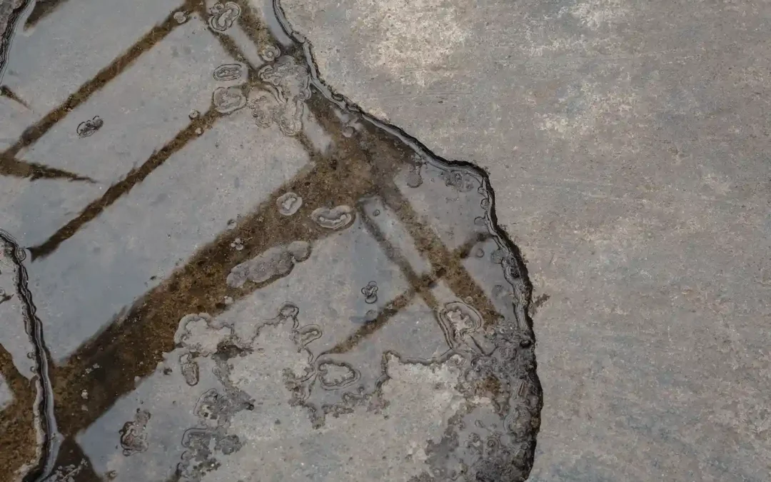 Water Extraction: What It Is, How It Works, and When to Call a Pro